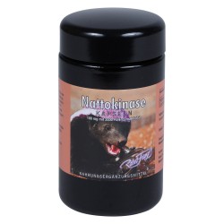 Robert Franz - Nattokinase,...