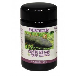 Robert Franz, NADH 20mg &...