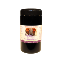 Robert Franz - MSM, 360...